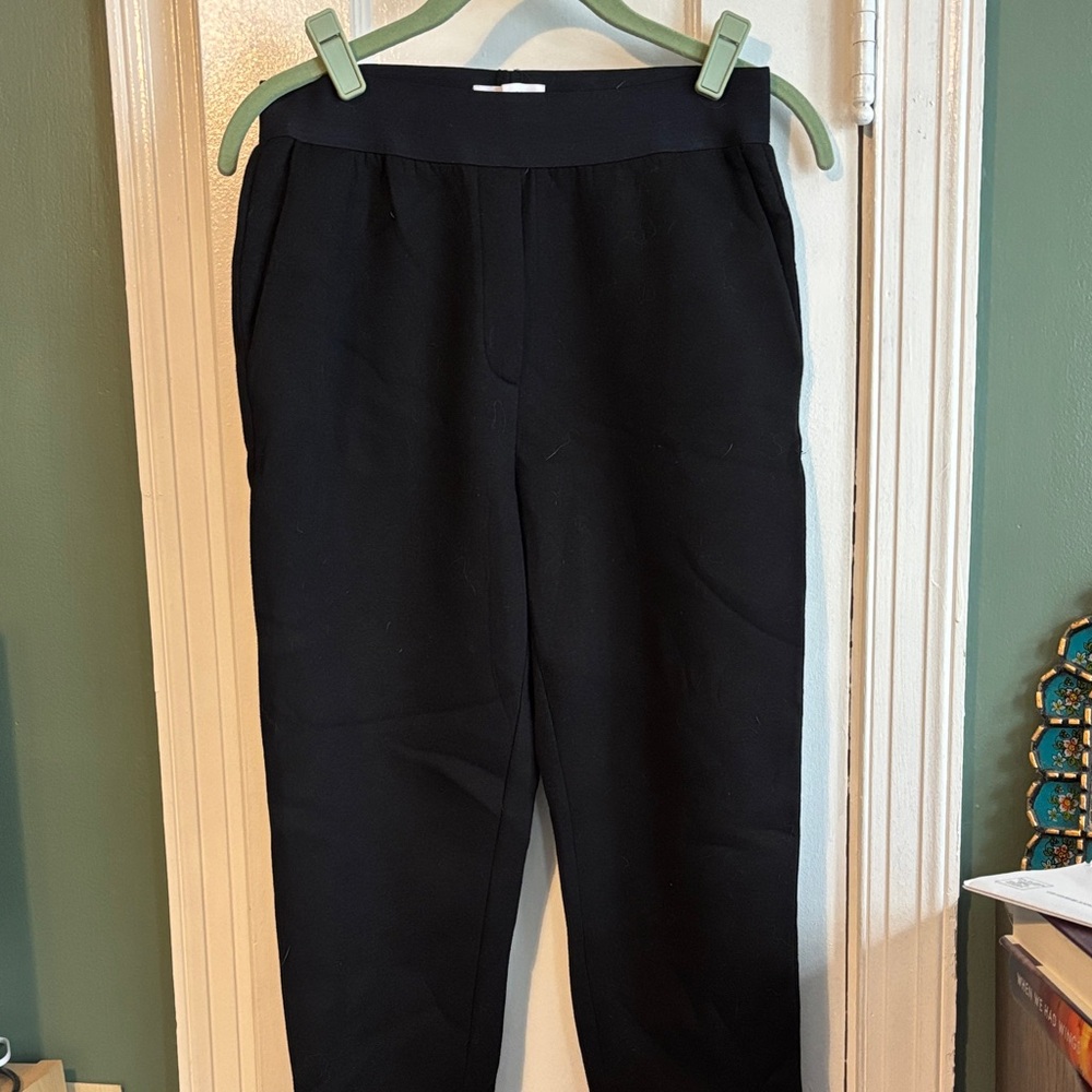 Everlane Black Track Pants